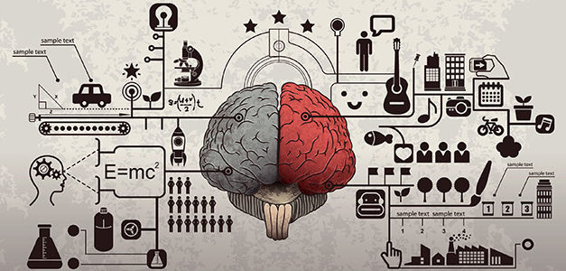 A retenção de conhecimento no Cerebro